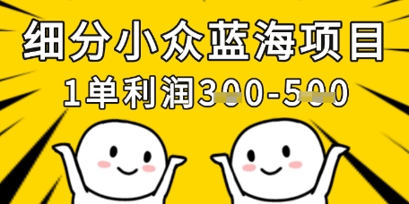 细分小众蓝海项目，一单利润3张，每月收入稳定过1w+-梦帆创业网