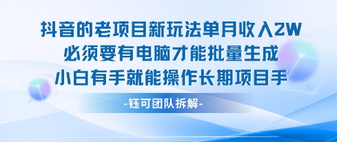 老项目新玩法单月收入2W小白有手就能操作长期项目-梦帆创业网