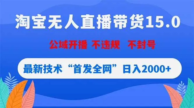 （18562期）淘宝无人直播带货15.0，不封号，不违规，公域玩法，首发全网日入2000+-梦帆创业网