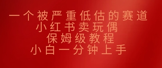 一个被严重低估的赛道，小红书卖玩偶，保姆级教程，小白一分钟上手-梦帆创业网