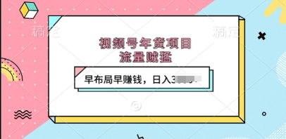 视频号年货项目，流量贼猛，早布局早挣钱，日入上k【揭秘】-梦帆创业网