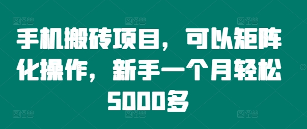 手机搬砖项目，可以矩阵化操作，新手一个月轻松5000多-梦帆创业网