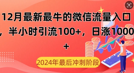 12月最新最牛的微信流量入口，半小时引流100+创业粉，日涨粉1000+-梦帆创业网