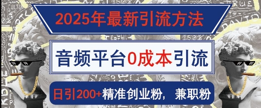 2025年最新引流方法，音频平台0成本引流，日引200+精准创业粉-梦帆创业网