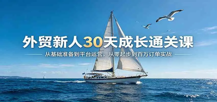外贸新人30天成长通关课:从基础准备到平台运营,从零起步到百万订单实战 外贸新人30天成长通关课:从基础准备到平台运营,从零起步到百万订单实战
