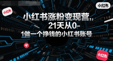 小红书涨粉变现营，21天从0-1做一个挣钱的小红书账号-梦帆创业网