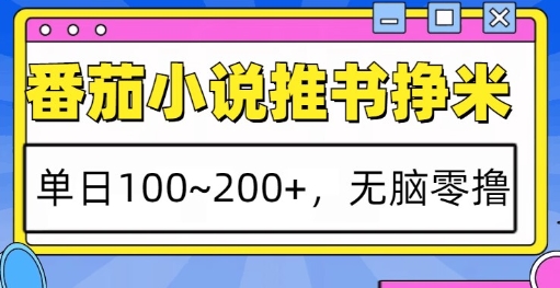 番茄小说推书挣米，单日100-200+，无脑零撸，实操流程-梦帆创业网