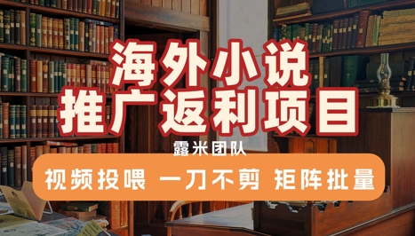 海外小说推广返利项目，视频投喂， 一刀不剪，矩阵批量-梦帆创业网