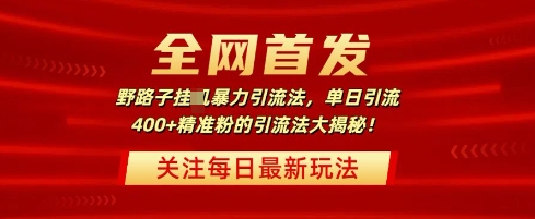 全网首发，野路子暴力引流法，单日引流400+精准粉的引流法大揭秘-梦帆创业网