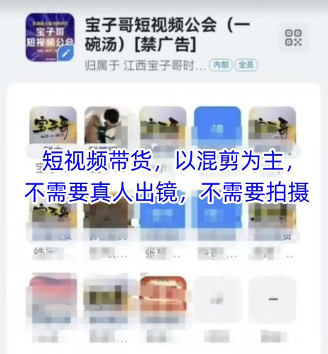 宝子哥头部团队短视频带货，以混剪为主，不需要真人出镜，不需要拍摄-梦帆创业网