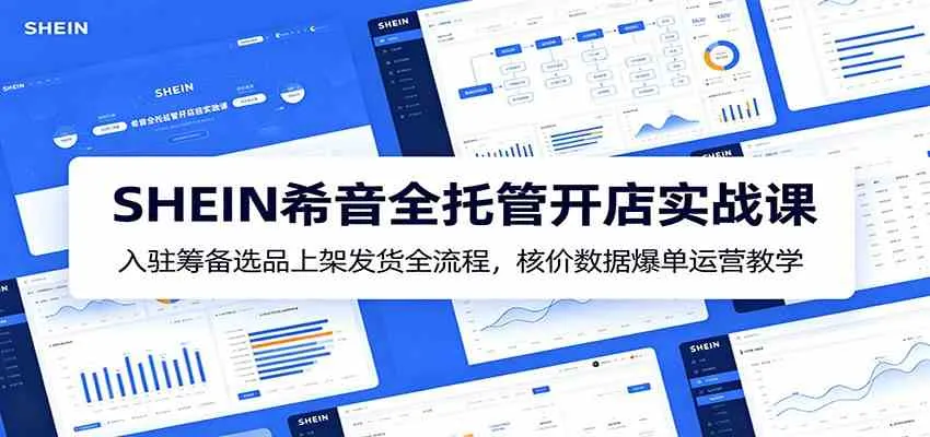 SHEIN希音全托管开店实战课：入驻筹备选品上架发货全流程，核价数据爆单运营教学-梦帆创业网