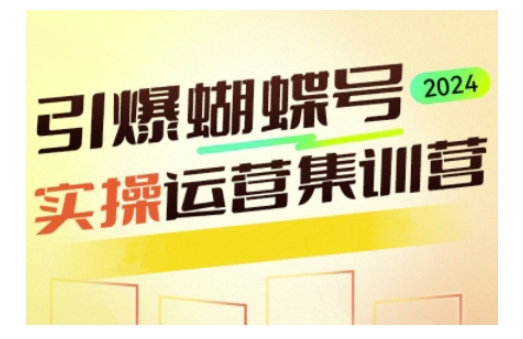 引爆蝴蝶号实操运营，助力你深度掌握蝴蝶号运营，实现高效实操，开启流量变现之路-梦帆创业网