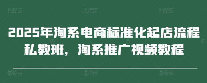 2025年淘系电商标准化起店流程私教班，淘系推广视频教程-梦帆创业网