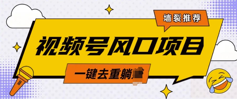 视频号风口蓝海项目，中老年人的流量密码，简单无脑，一键去重，轻松月入过W-梦帆创业网
