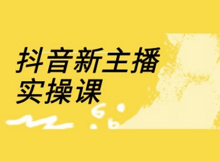 抖音新主播实操课，直播间流量运营线上实操课(18节)-梦帆创业网