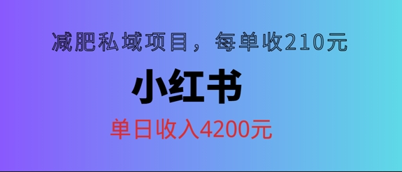 小红书减肥私域项目，每单210元，单日可卖出15单，利润3150-梦帆创业网