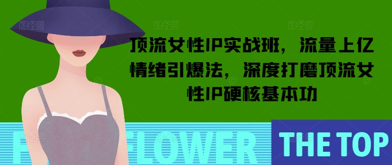 顶流女性IP实战班，流量上亿情绪引爆法，深度打磨顶流女性IP硬核基本功-梦帆创业网