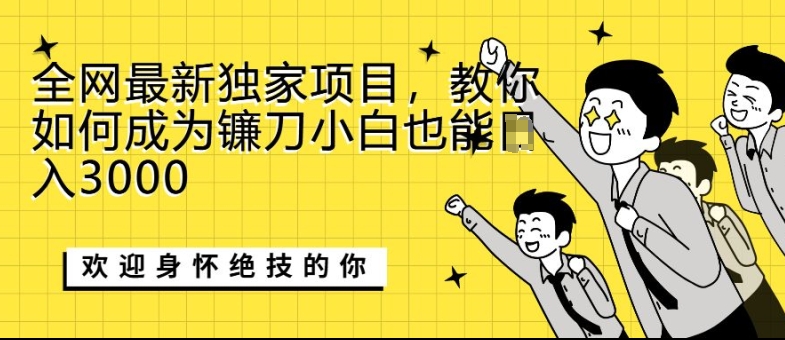 全网最新独家项目，教你如何成为镰刀小白也能日入上K-梦帆创业网