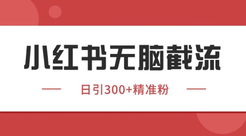 小红书只要你有同行就能获客，独家野路子获客玩法，暴力截流【揭秘】-梦帆创业网