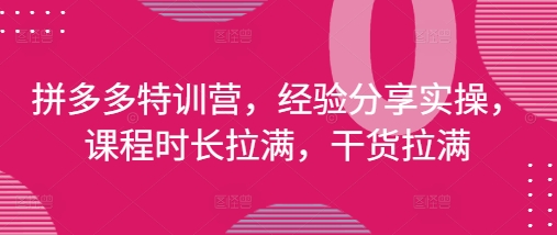 拼多多特训营，经验分享实操，课程时长拉满，干货拉满(更新25年4月)-梦帆创业网