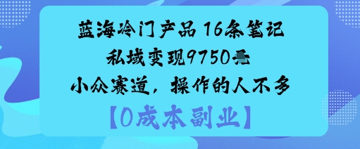 蓝海冷门产品：16条笔记私域变现9750米小众赛道，操作的人不多-梦帆创业网