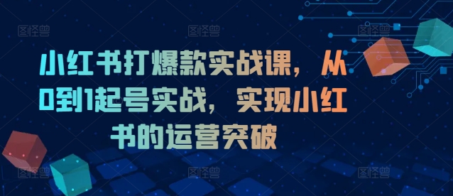 小红书打爆款实战课，从0到1起号实战，实现小红书的运营突破-梦帆创业网