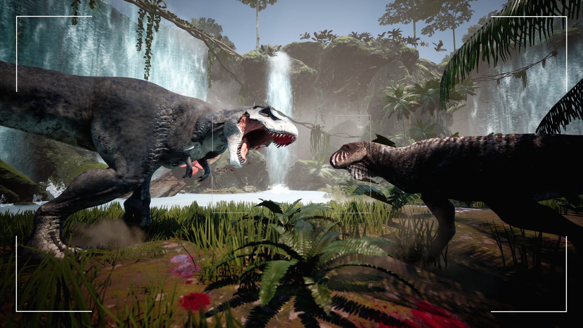 骨之王者/King of Bones-梦帆创业网