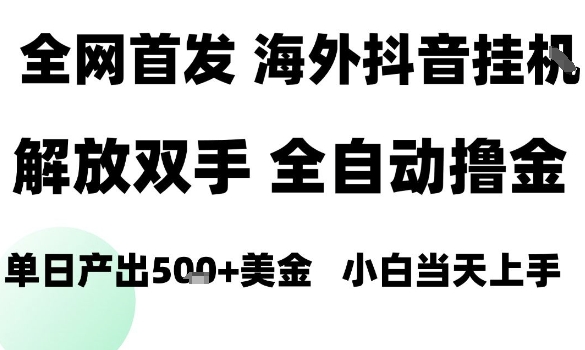 海外抖音无人直播，单日产出1.5k+，长期稳定，新手可玩，无脑操作【揭秘】-梦帆创业网