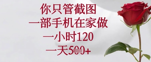 你只管截图，一部手机在家可以做，一小时120.一天5张+【揭秘】-梦帆创业网