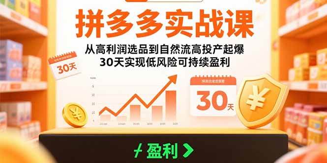 （15586期）拼多多实战课：从高利润选品到自然流高投产起爆 30天实现低风险可持续盈利-梦帆创业网