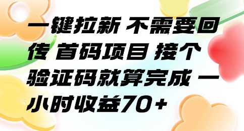 一键拉新 不需要回传 首码项目 接个验证码就算完成 一小时收益70+【揭秘】-梦帆创业网