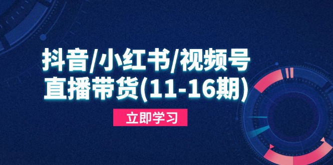 抖音/小红书/视频号/直播带货(11-16期-梦帆创业网