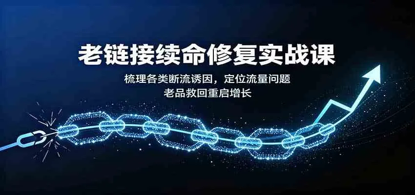 老链接续命修复实战课:梳理各类断流诱因,定位流量问题,老品救回重启增长 老链接续命修复实战课:梳理各类断流诱因,定位流量问题,老品救回重启增长