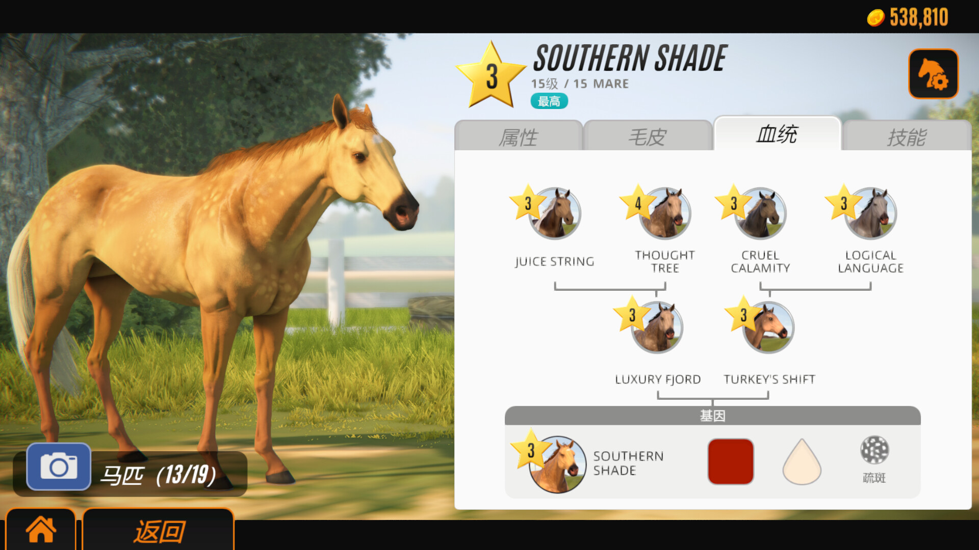 家族传奇：马匹养成竞技/Rival Stars Horse Racing: Desktop Edition-梦帆创业网