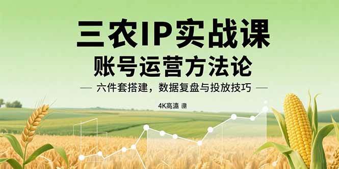 （15864期）三农IP实战课：账号运营方法论，六件套搭建，数据复盘与投放技巧-梦帆创业网
