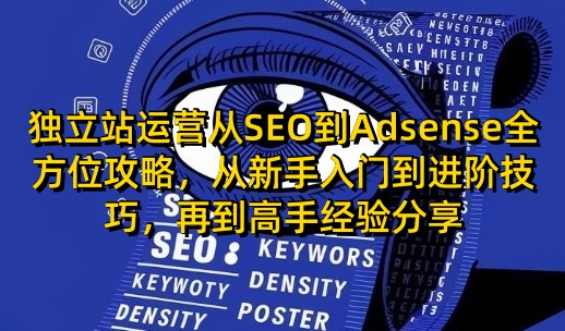 独立站运营从SEO到Adsense全方位攻略，从新手入门到进阶技巧，再到高手经验分享-梦帆创业网