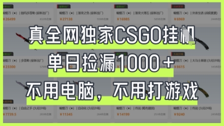真全网独家CSGO挂G，单日捡漏1k+【揭秘】-梦帆创业网
