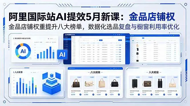 （18556期）阿里国际站AI提效5月新课：金品店铺权重提升八大榜单，数据化选品复盘与橱窗利用率优化-梦帆创业网