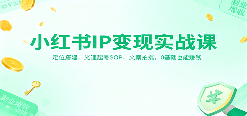 小红书IP变现实战课：定位搭建，光速起号SOP，文案拍摄，0基础也能赚钱-梦帆创业网