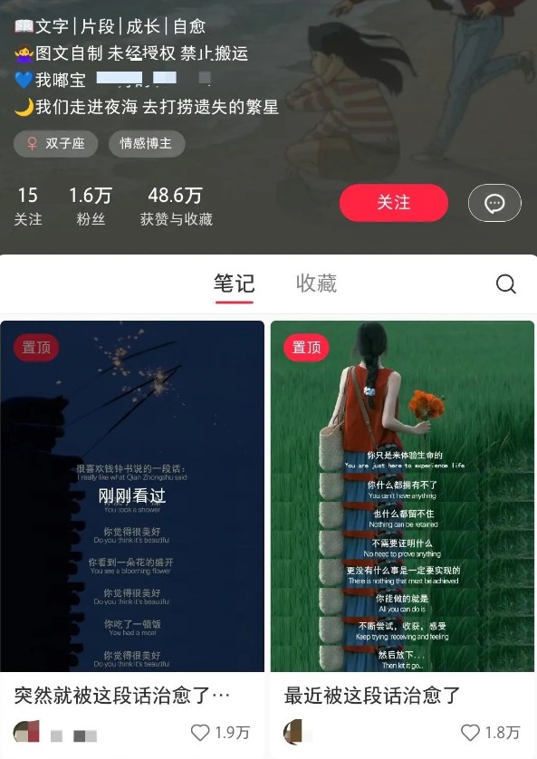 小红书治愈文案图文笔记，零门槛，一分钟制作轻松制作爆款作品月入万元-梦帆创业网