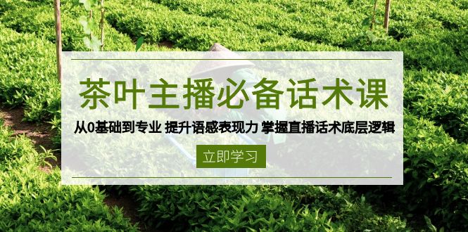 （13961期）茶叶 主播必备话术课 从0基础到专业 提升语感表现力 掌握直播话术底层逻辑-梦帆创业网
