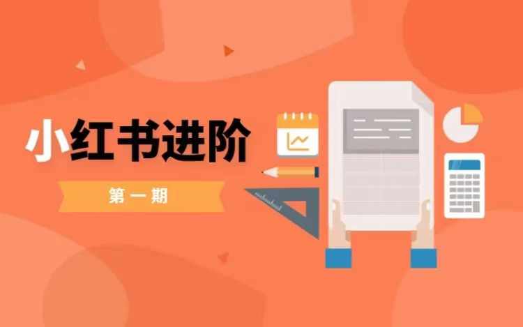 小红书进阶篇，零基础小白实战课，普通人变现的课程-梦帆创业网