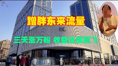 蹭胖东来流量，三天涨万粉，收益直接起飞-梦帆创业网