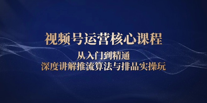 （13863期）视频号运营核心课程，从入门到精通，深度讲解推流算法与排品实操玩-梦帆创业网