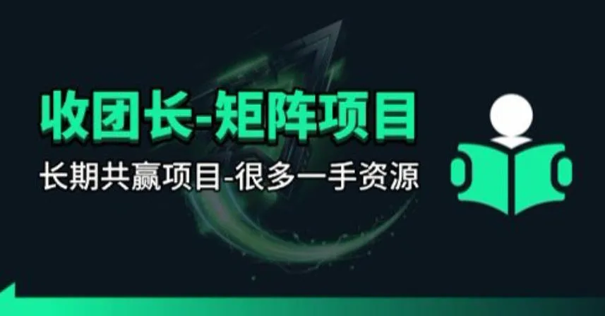 【团长合作】视频矩阵项目_招发手矩阵+剪辑师，共赢项目【揭秘】-梦帆创业网