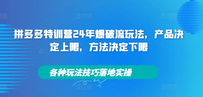 拼多多特训营24年爆破流玩法，产品决定上限，方法决定下限，各种玩法技巧落地实操-梦帆创业网