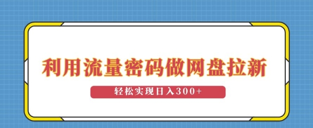 利用流量密码做网盘拉新，操作简单适合0基础小白，轻松实现日入3张-梦帆创业网