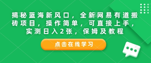 揭秘蓝海新风口，全新网易有道搬砖项目，操作简单，可直接上手，实测日入2张，保姆及教程-梦帆创业网