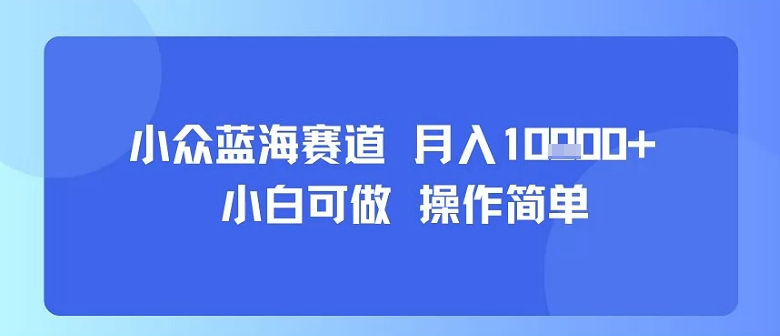小众蓝海赛道，小白可做，操作简单，每天30分钟，月入1W+-梦帆创业网