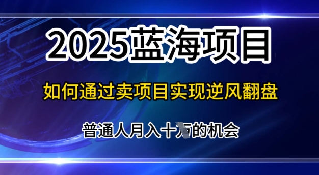 2025蓝海项目，普通人如何通过卖项目实现逆风翻盘，月入10个【揭秘】-梦帆创业网
